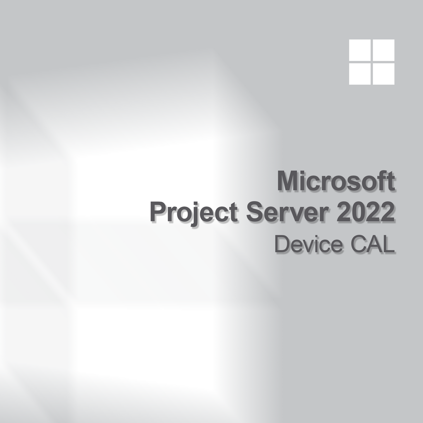 Microsoft Project Server 2022 Perangkat CAL
