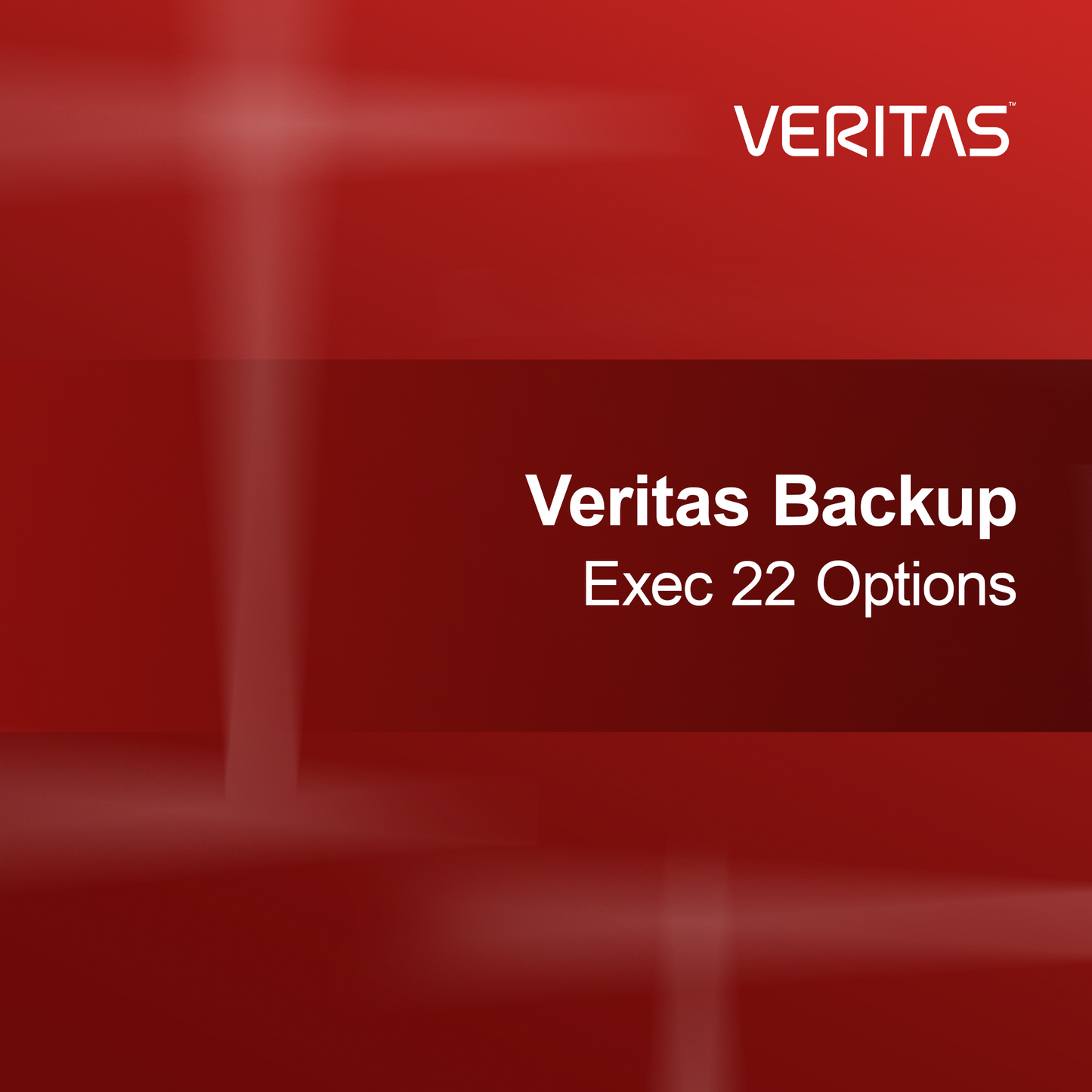 Opsi Veritas Backup Exec 22