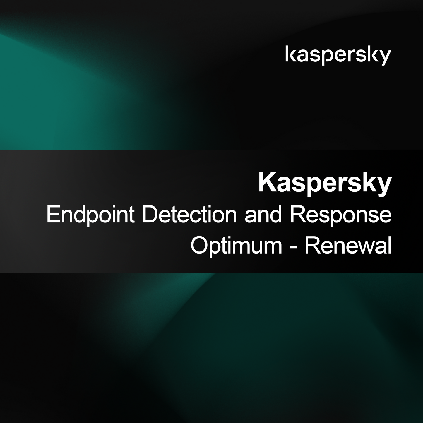 Kaspersky Endpoint Detection and Response Optimum - Pembaruan