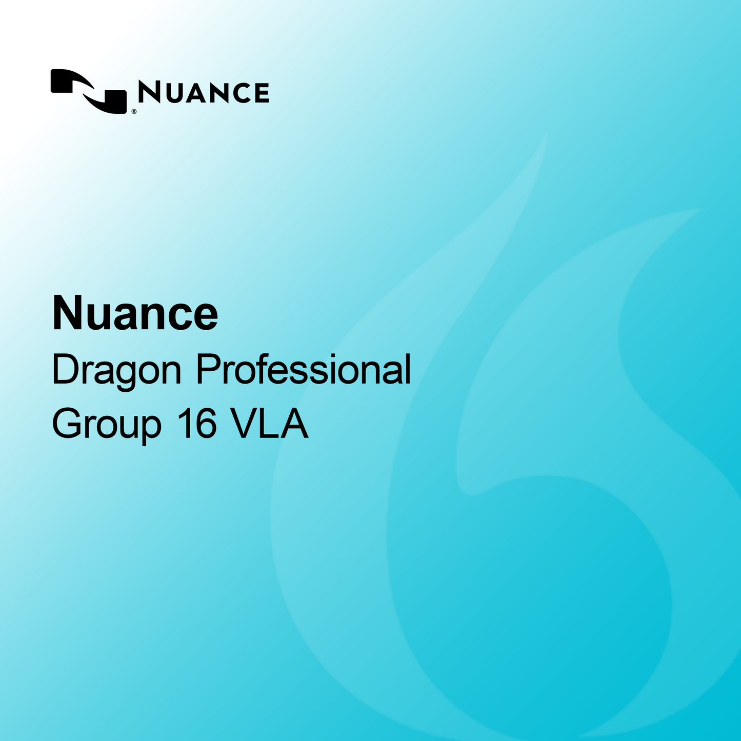 Nuance Dragon Professional Group 16 VLA